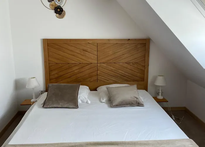 Chateau De Saint-genix Pensjonat 3*