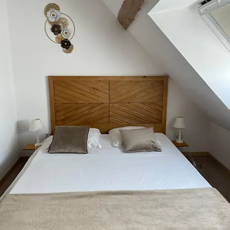 Chateau De Saint-genix Pensión 3*